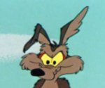 wholesomecoyote's Avatar