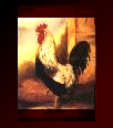 rooster 69's Avatar